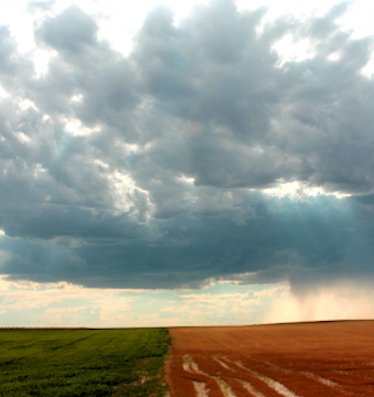 Fort Morgan Area Chamber of Commerce co