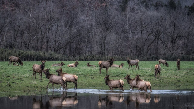 Harrison Regional Chamber of Commerce