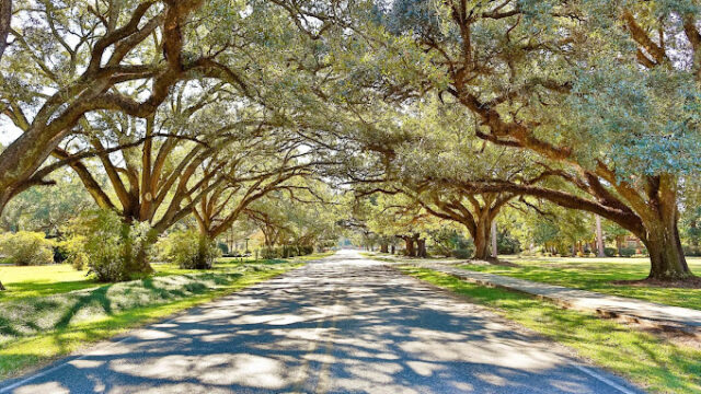 North Baldwin Chamber of Commerce