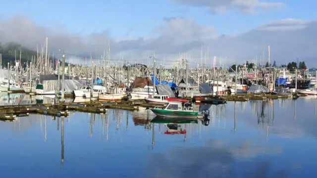 Petersburg Alaska Chamber of Commerce