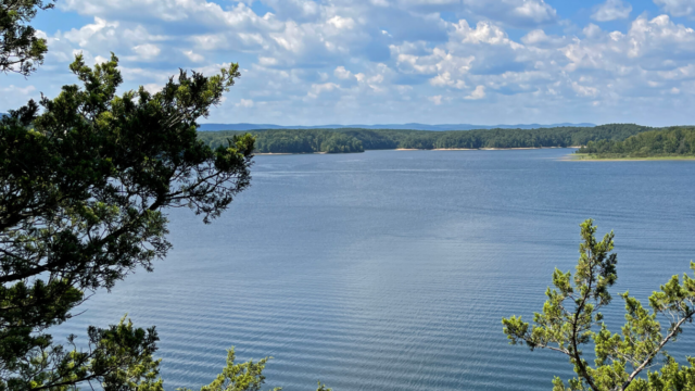 Screenshot 2026-03-25 162837