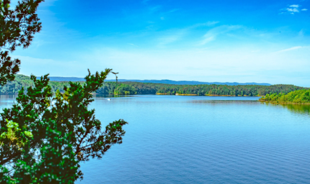 Screenshot 2026-03-24 141203