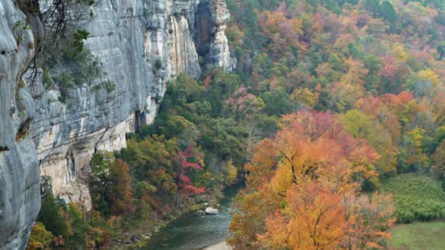 Screenshot 2026-03-25 163809