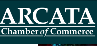 Screenshot 2026-04-06 140411