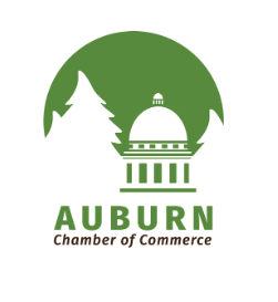 Screenshot 2026-04-06 142222