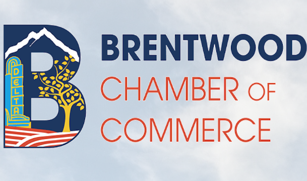 Screenshot 2026-04-10 075628