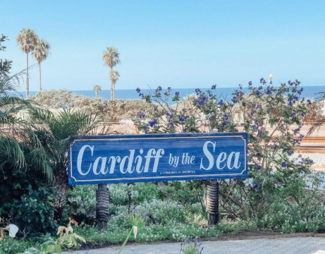 Screenshot 2026-04-11 195422